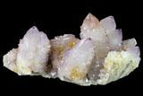 Cactus Quartz (Amethyst) Crystal Cluster - South Africa #134337-1